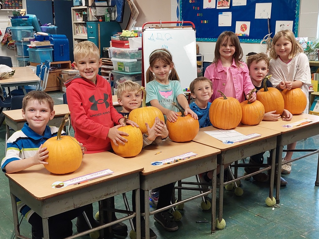 First Grade Pumpkins 